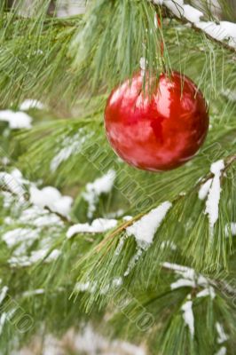chirstmas bulb