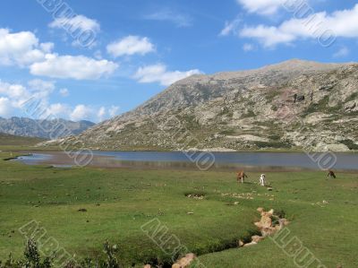 lake of corsican