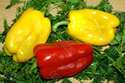 Three bright pepper&parsley