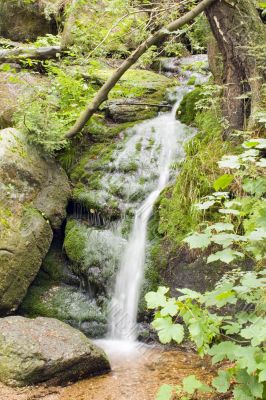 Stream in the Green
