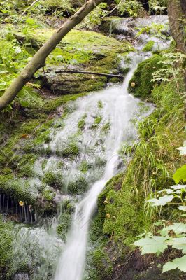 Stream in the Green