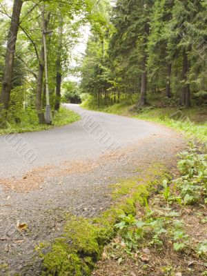 Mountain Road