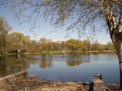 Early spring in a park