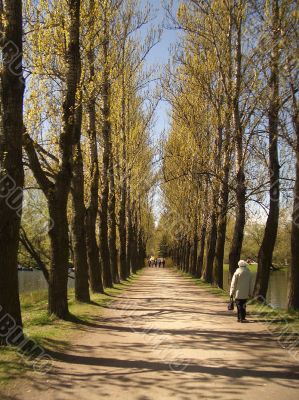 Early spring in a park