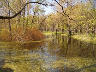 Early spring in a park