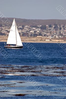 Boat by the Bay