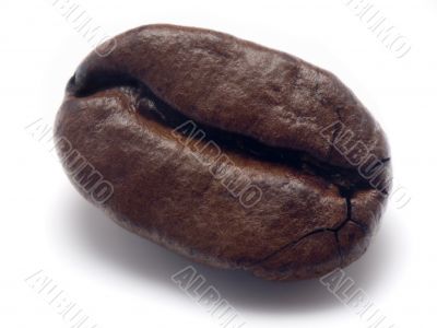 Coffee bean