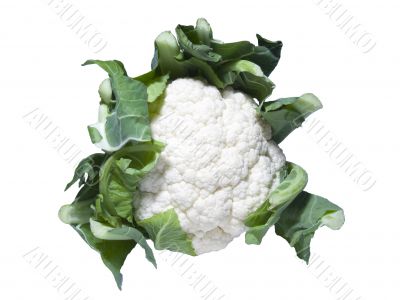 Cauliflower