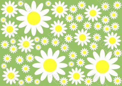 Floral Background
