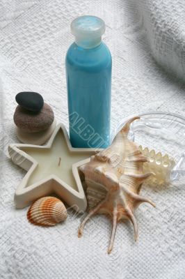 The bathroom still-life