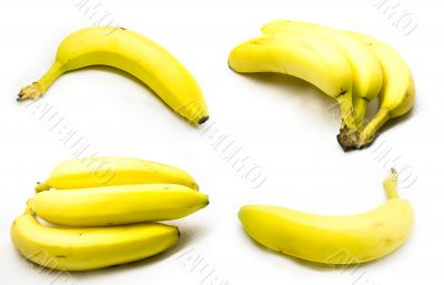 Bananas - union plate
