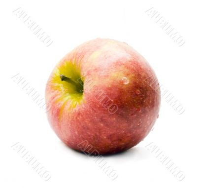 Apple with white background 2
