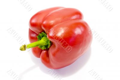 Red sweet bell pepper 3
