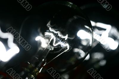 bulb