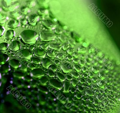 green drops