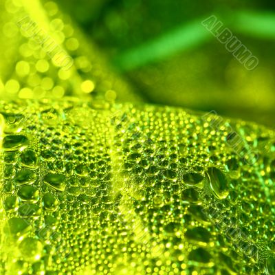 green drops