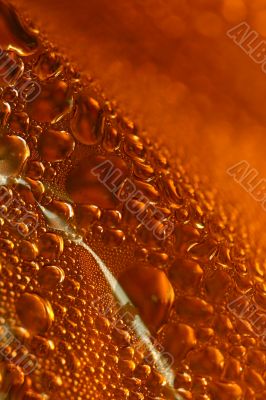 orange drops
