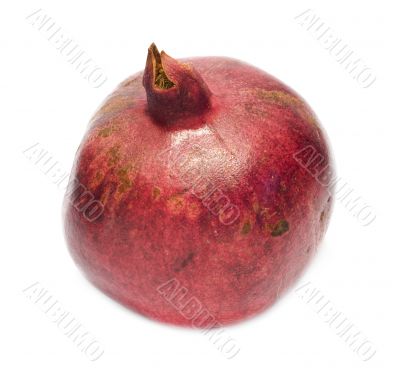 Pomegranate 1