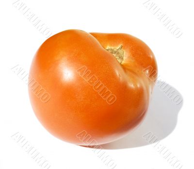 Big tomato