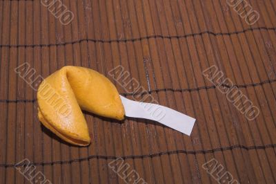 Fortune Cookie