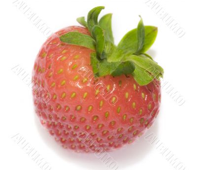 strawberry 7