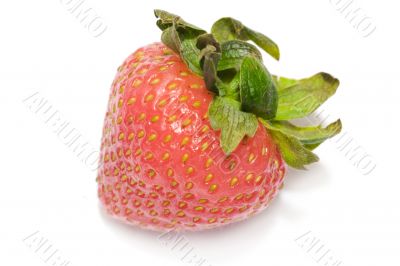 strawberry 2