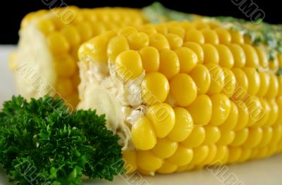 Fresh Corn 6