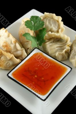 Chinese Dumplings 6