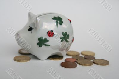 The piggy bank