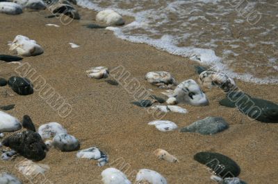 The sand on the beach