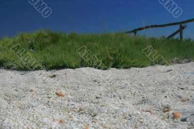 The beach