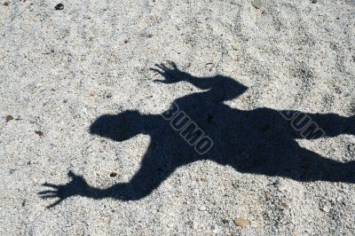 The shadow on the beach