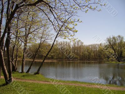 Early spring in a park