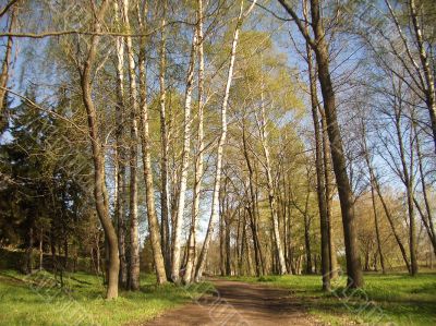 Early spring in a park