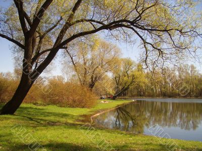 Early spring in a park