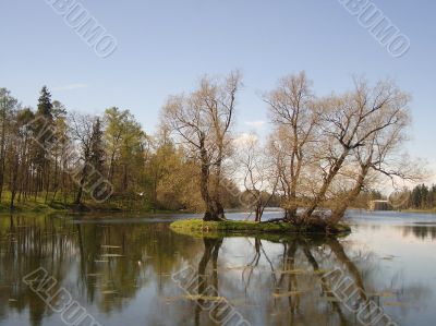 Early spring in a park
