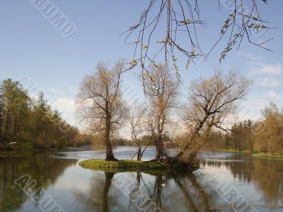 Early spring in a park