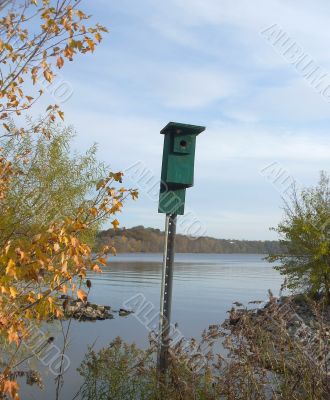 Green Birdhouse