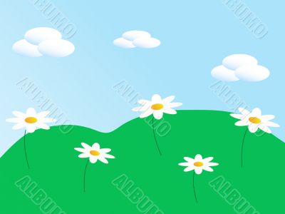 Meadow with the flowers