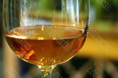 Wine Bottle and Glass