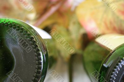 Wine Bottle and Glass