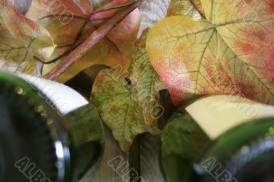 Wine Bottle and Glass