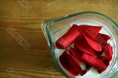 carnation and rose petal