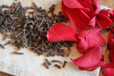 carnation and rose petal