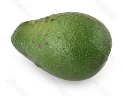 avocado fruit