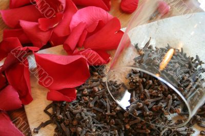 carnation and rose petal