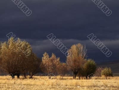 Sun in the Thunderstorm