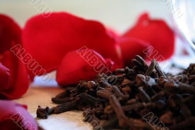 Carnation and red rose