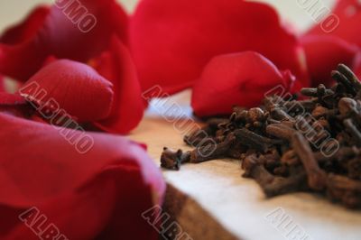Carnation and red rose