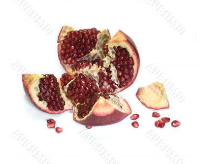 Still life with omegranates 6